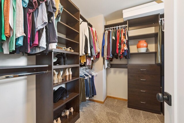 8378 Dunmore Dr, Tinley Park, IL 60487 - spacious closet with carpet flooring