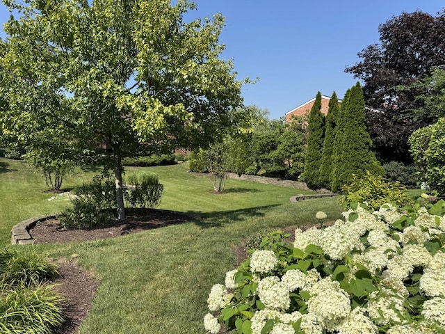 19W286 Governors Trl Unit 0, Oak Brook, IL 60523 - view of green lawn