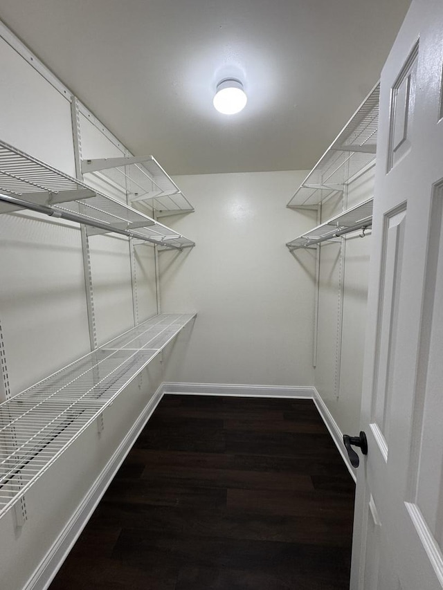 19W286 Governors Trl Unit 0, Oak Brook, IL 60523 - walk in closet with wood finished floors