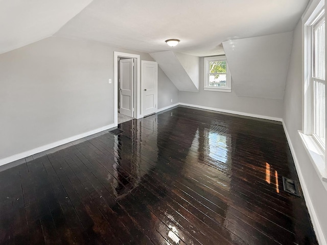 309 W S St, Pearl City, IL 61062 - bonus room featuring wood-type flooring and vaulted ceiling