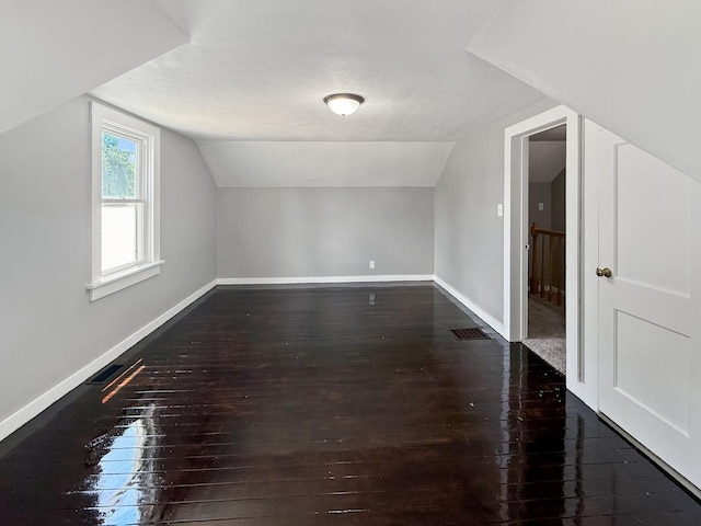 309 W S St, Pearl City, IL 61062 - additional living space featuring wood-type flooring and vaulted ceiling