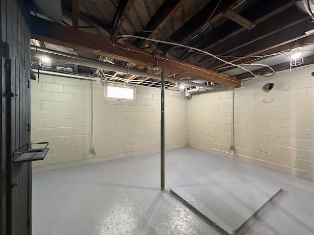 309 W S St, Pearl City, IL 61062 - view of basement