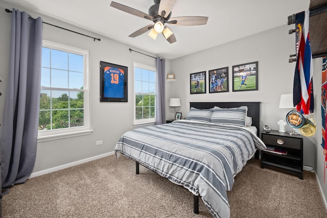 203 Stearn Dr, Genoa, IL 60135 - bedroom with carpet and ceiling fan