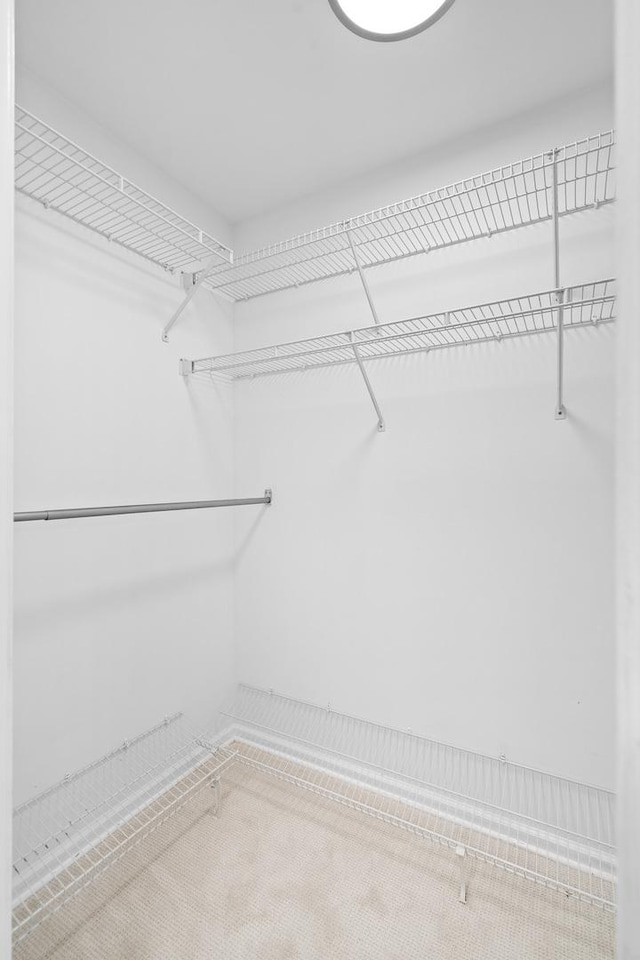 1401 Clove Ct Unit D, Mount Prospect, IL 60056 - photo 24
