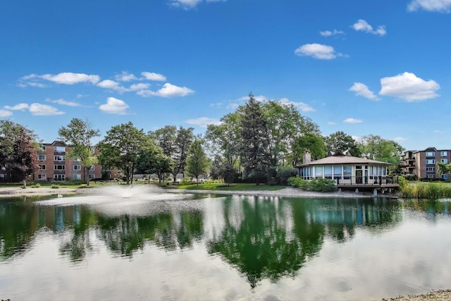 1227 S Old Wilke Rd Unit 304, Arlington Heights, IL 60005 - water view