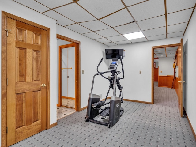 231 Deer Ln, Sleepy Hollow, IL 60118 - workout area with a drop ceiling and carpet flooring