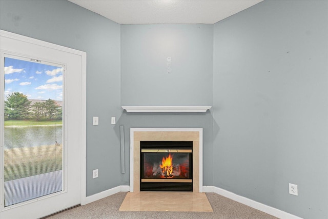 3718 Thornhill Dr Unit 0, Champaign, IL 61822 - detailed view of carpet flooring and a fireplace with flush hearth