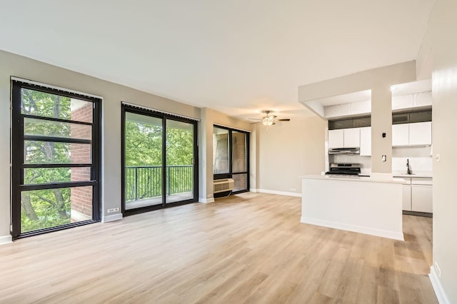 3041 S Michigan Ave Unit 501, Chicago, IL 60616 - unfurnished living room featuring light wood finished floors and a ceiling fan