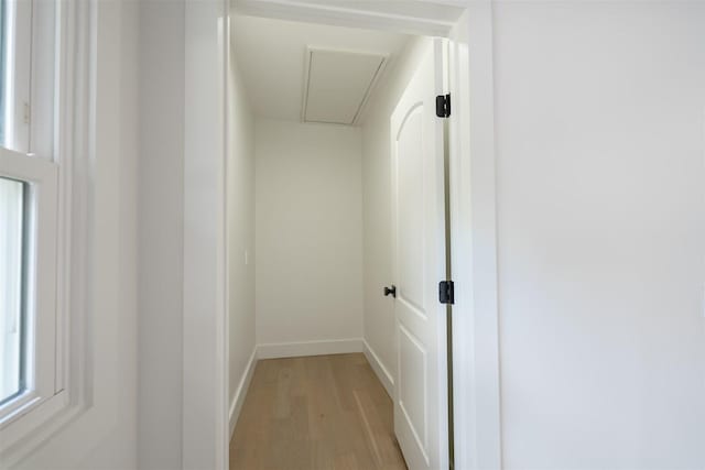 1717 Liston Ct, Normal, IL 61761 - corridor featuring light wood-type flooring and attic access