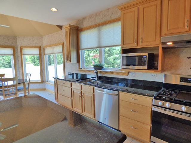 41W951 Hunters Hill Dr, Saint Charles, IL 60175 - kitchen with appliances with stainless steel finishes, under cabinet range hood, light brown cabinets, dark stone counters, and recessed lighting