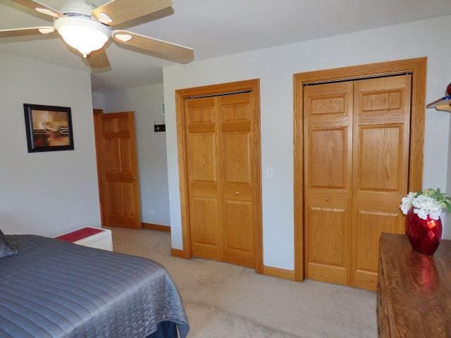 41W951 Hunters Hill Dr, Saint Charles, IL 60175 - bedroom featuring light carpet and a ceiling fan