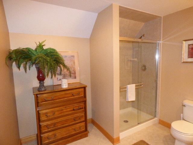 41W951 Hunters Hill Dr, Saint Charles, IL 60175 - bathroom featuring a shower stall and vaulted ceiling