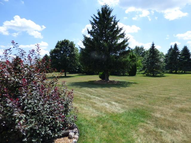 41W951 Hunters Hill Dr, Saint Charles, IL 60175 - view of grassy yard