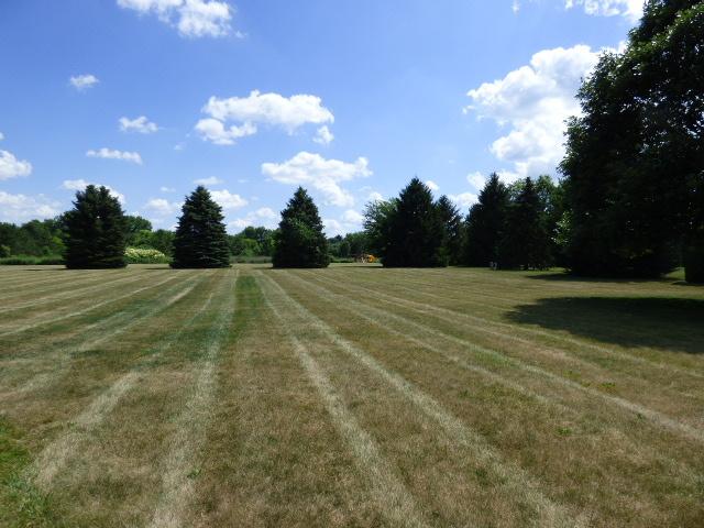 41W951 Hunters Hill Dr, Saint Charles, IL 60175 - view of grassy yard