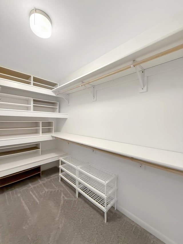 701 E Soper St, Winnebago, IL 61088 - walk in closet featuring carpet flooring