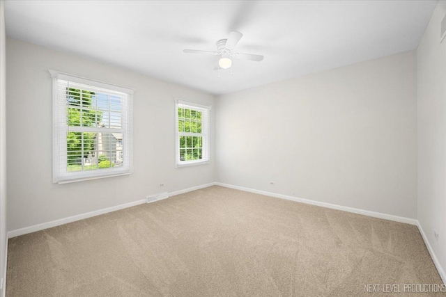 621 Dilorenzo Dr, Naperville, IL 60565 - photo 24