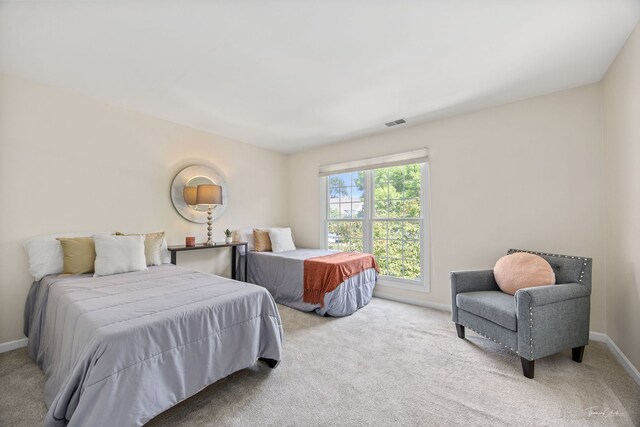 1530 Orchard Cir, Naperville, IL 60565 - bedroom with carpet floors and baseboards