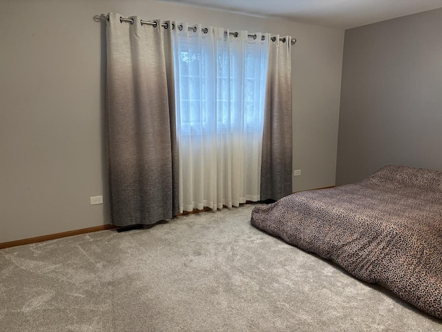 16529 Edgewood Dr, Plainfield, IL 60586 - bedroom featuring carpet floors