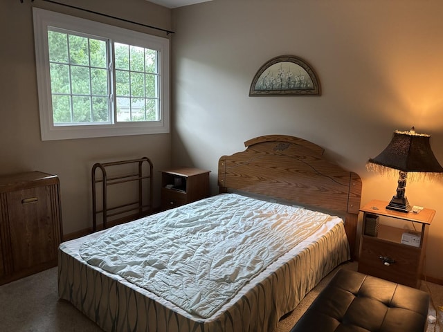 16529 Edgewood Dr, Plainfield, IL 60586 - view of bedroom