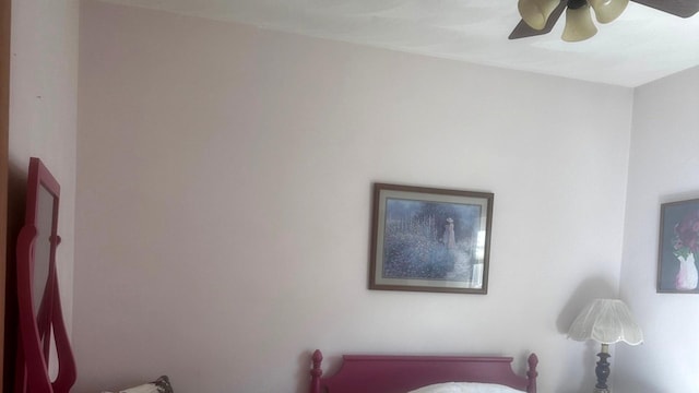 1959 W Navajo Dr, Freeport, IL 61032 - bedroom featuring a ceiling fan