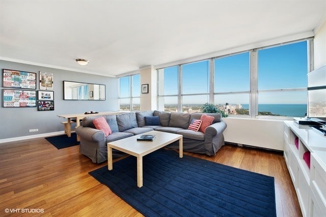 655 W Irving Park Rd Unit 5504, Chicago, IL 60613 - living room featuring wood finished floors