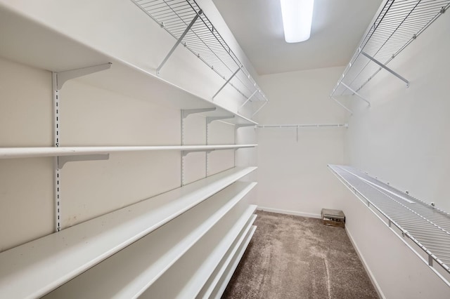 13490 Honeysuckle Dr, Huntley, IL 60142 - spacious closet featuring carpet flooring
