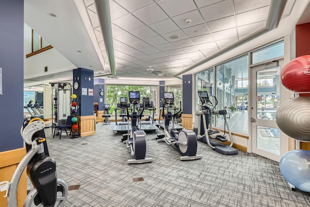 13490 Honeysuckle Dr, Huntley, IL 60142 - gym with carpet flooring and a ceiling fan