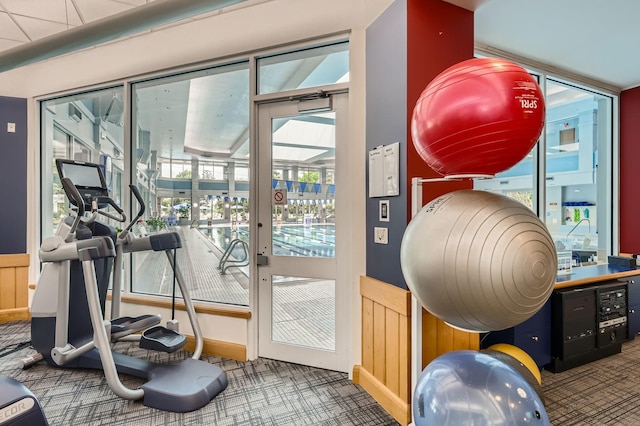 13490 Honeysuckle Dr, Huntley, IL 60142 - workout area with carpet and healthy amount of natural light