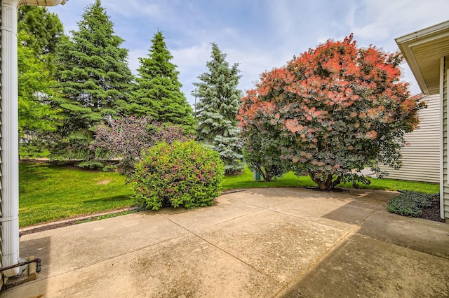 13490 Honeysuckle Dr, Huntley, IL 60142 - view of patio