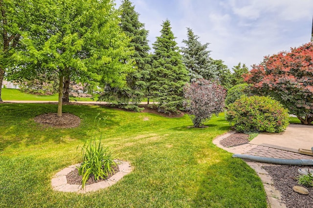 13490 Honeysuckle Dr, Huntley, IL 60142 - view of green lawn