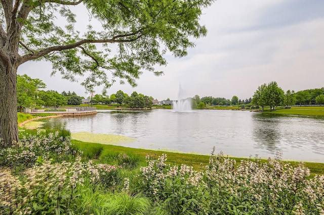 13490 Honeysuckle Dr, Huntley, IL 60142 - water view