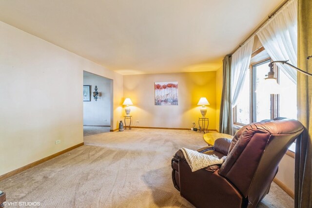 920 Barnside Rd, New Lenox, IL 60451 - carpeted living room with baseboards