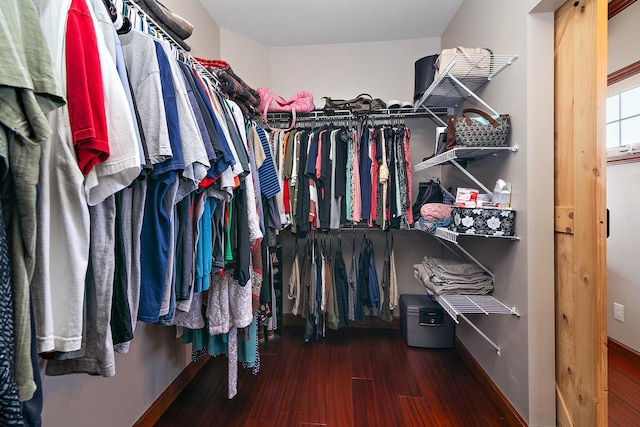 4751 N 5500w Rd, Kankakee, IL 60901 - spacious closet featuring wood finished floors