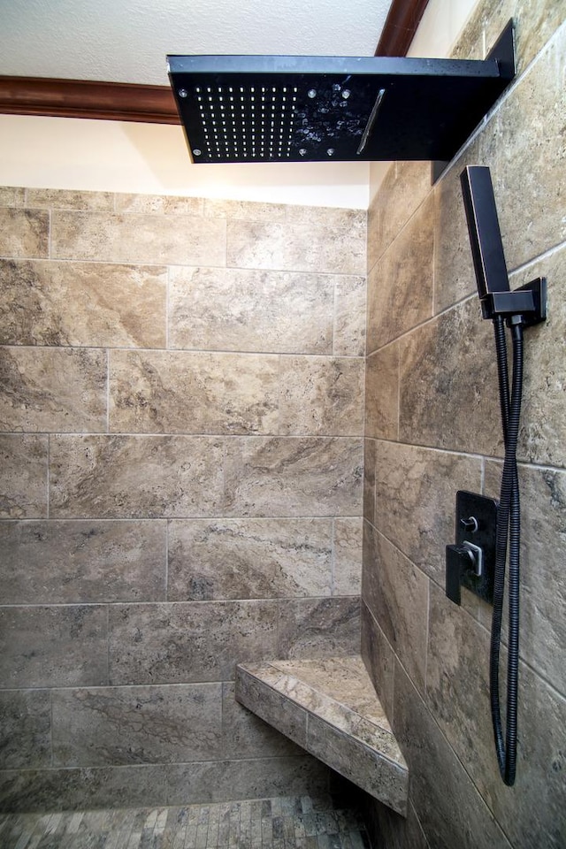 4751 N 5500w Rd, Kankakee, IL 60901 - bathroom view of tiled shower