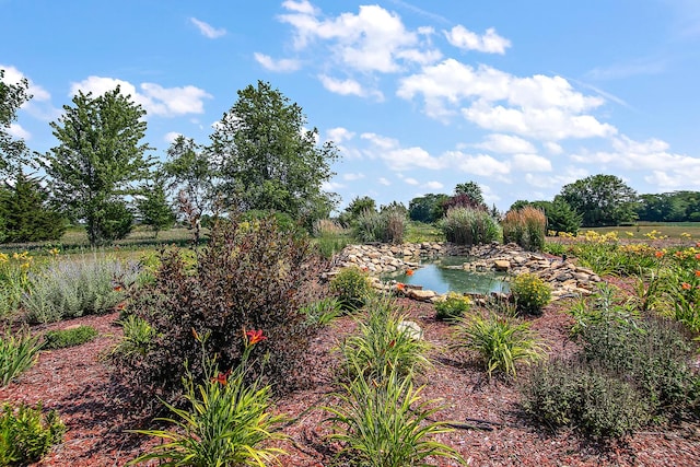 4751 N 5500w Rd, Kankakee, IL 60901 - view of pool featuring a small pond