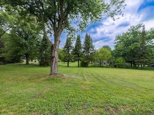 14746 Mercury Ln, Bloomington, IL 61705 - view of grassy yard