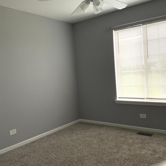 407 W Waterbury Dr, Round Lake, IL 60073 - photo 18