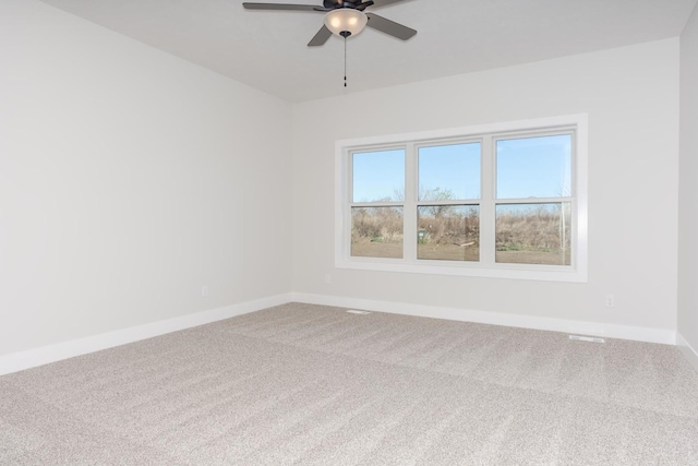 1004 Mount Carmel Rd, Bloomington, IL 61705 - photo 21