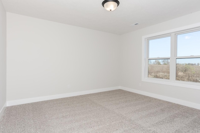 1004 Mount Carmel Rd, Bloomington, IL 61705 - photo 29