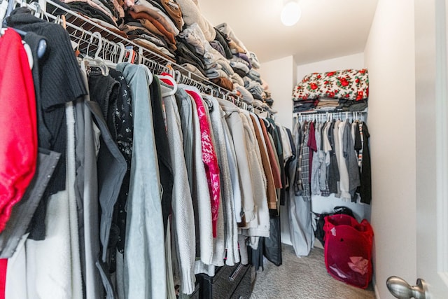 2366 Aurora Dr, Pingree Grove, IL 60140 - spacious closet with carpet floors