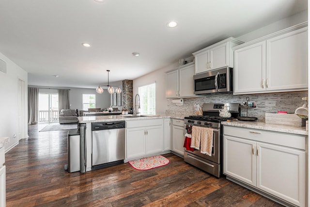 2366 Aurora Dr, Pingree Grove, IL 60140 - kitchen featuring appliances with stainless steel finishes, a peninsula, open floor plan, tasteful backsplash, and dark wood-type flooring