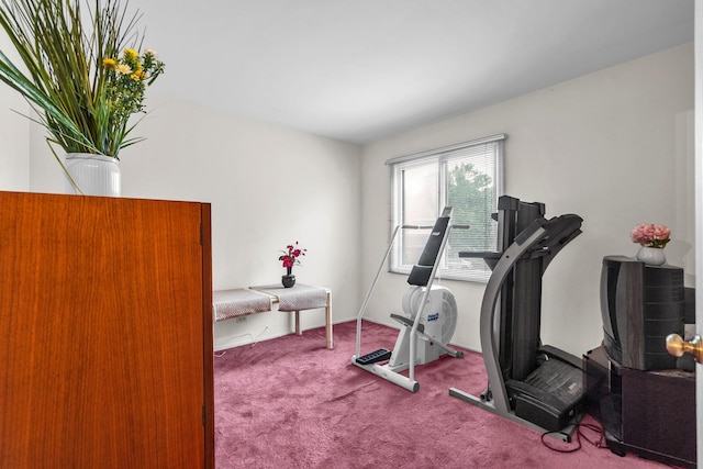 136 Windwood Ct Unit 31, Buffalo Grove, IL 60089 - photo 28