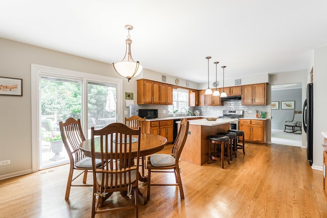 102 Quinlan Ave, Dekalb, IL 60115 - dining room with light wood-style flooring and baseboards
