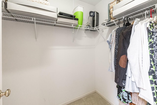 102 Quinlan Ave, Dekalb, IL 60115 - walk in closet with carpet
