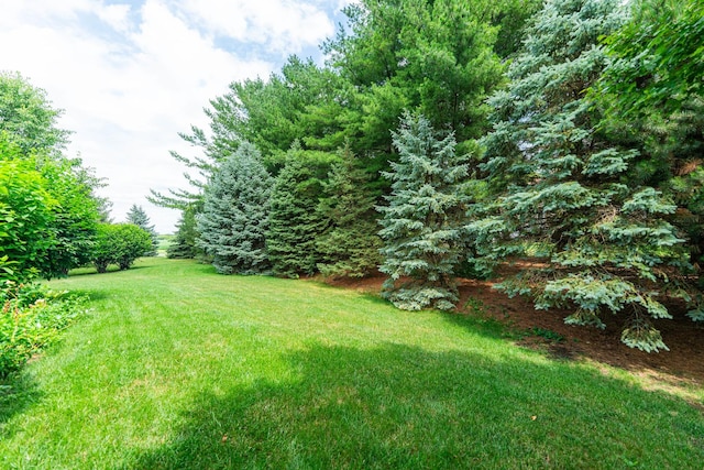 102 Quinlan Ave, Dekalb, IL 60115 - view of grassy yard