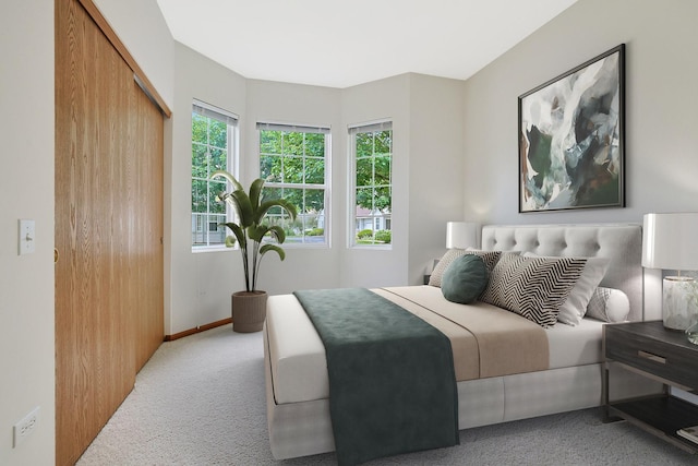 12243 Quail Ridge Dr, Huntley, IL 60142 - bedroom with carpet and a closet