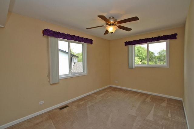 162 Washo Ct, Lake Zurich, IL 60047 - photo 37