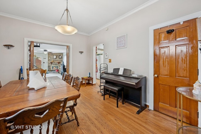 5013 W Argyle St, Chicago, IL 60630 - photo 10