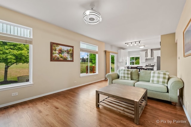 534 Ivory Ln, Bartlett, IL 60103 - living room with healthy amount of natural light, rail lighting, and wood finished floors