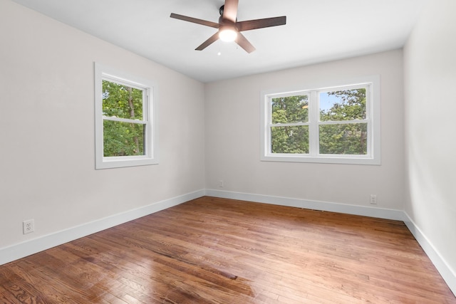 6427 Harlem Rd, Loves Park, IL 61111 - spare room with plenty of natural light, light wood-type flooring, and a ceiling fan